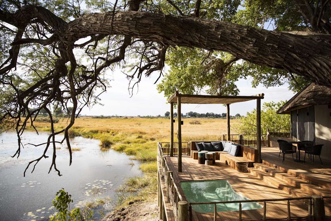 mazunga safaris