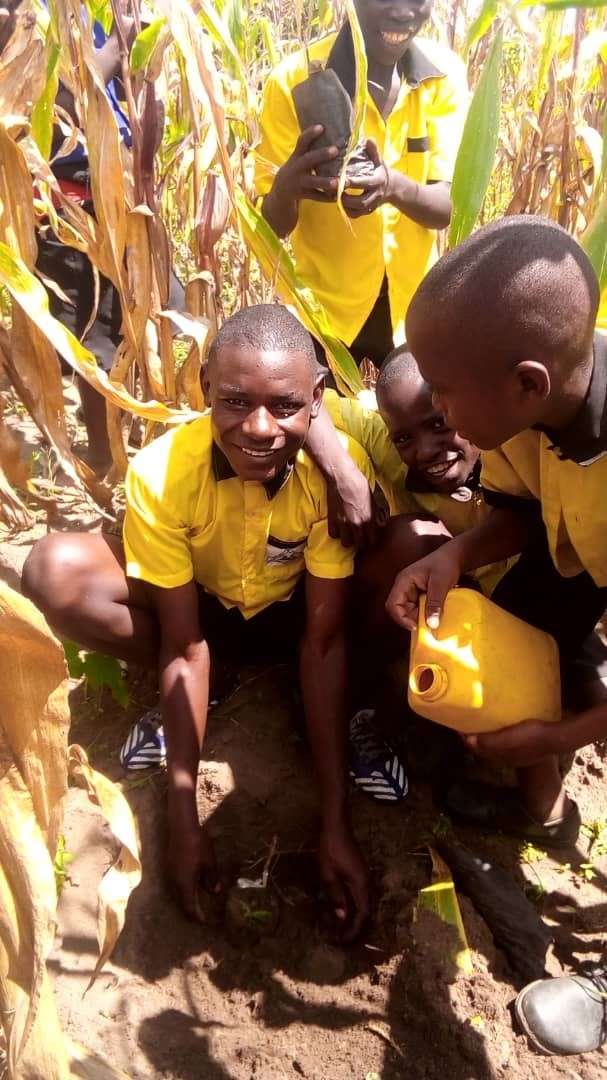 Bisate community project