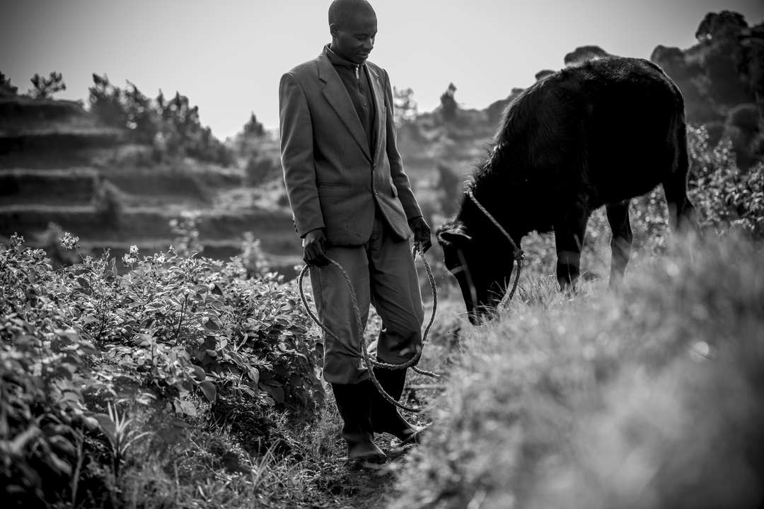 Farming in Rwanda Wilderness Sustainability