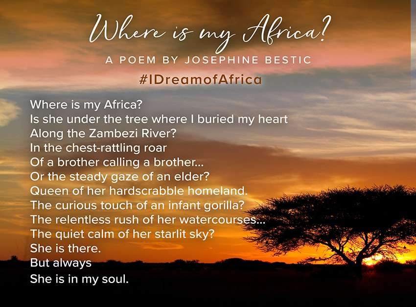 Po me Africain Sur La Nature Po sie Africaine Connue RRRM