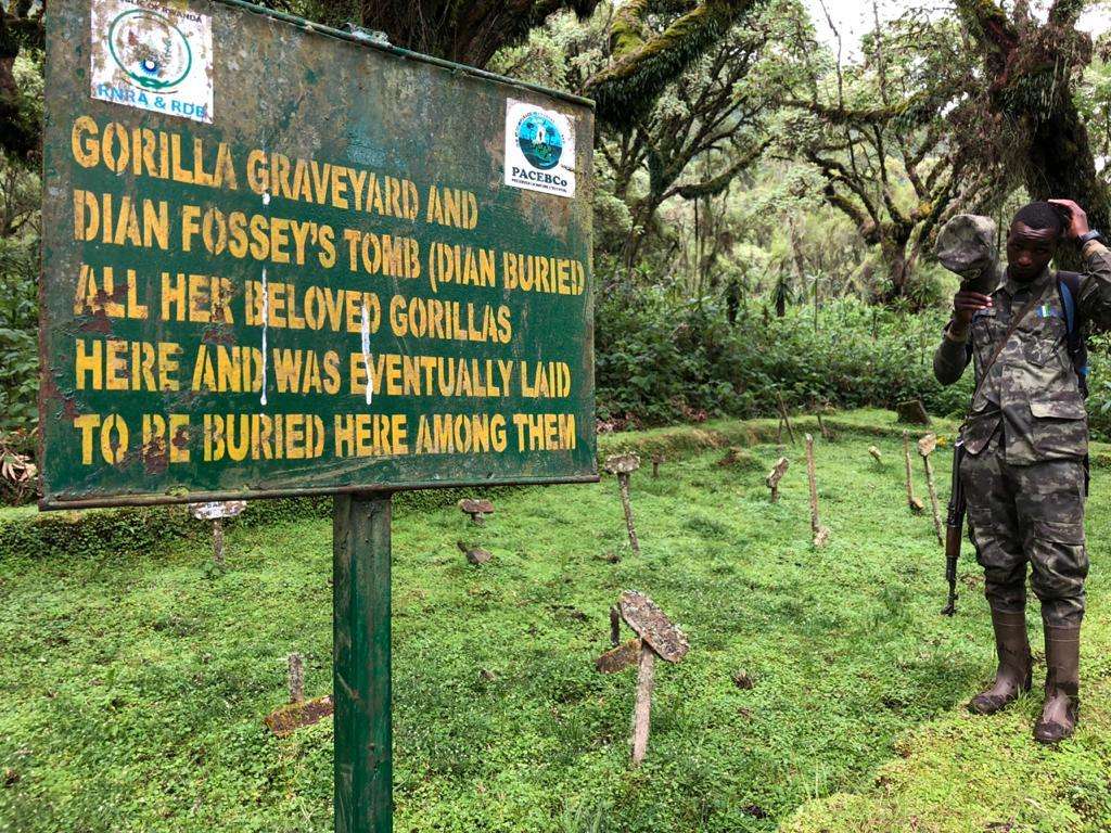 Sign marking the site of Dian Fossey's tomb alongside her gorillas