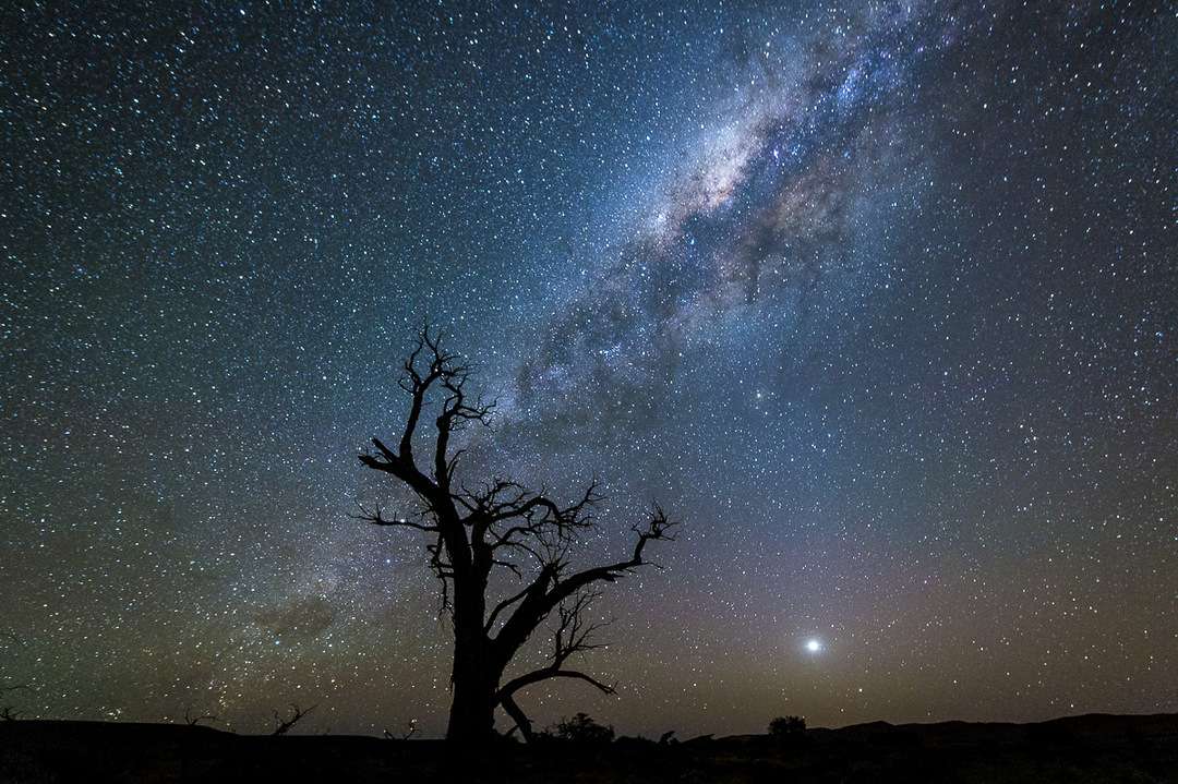 Night Sky Photos: Photographing the Stars | Wilderness