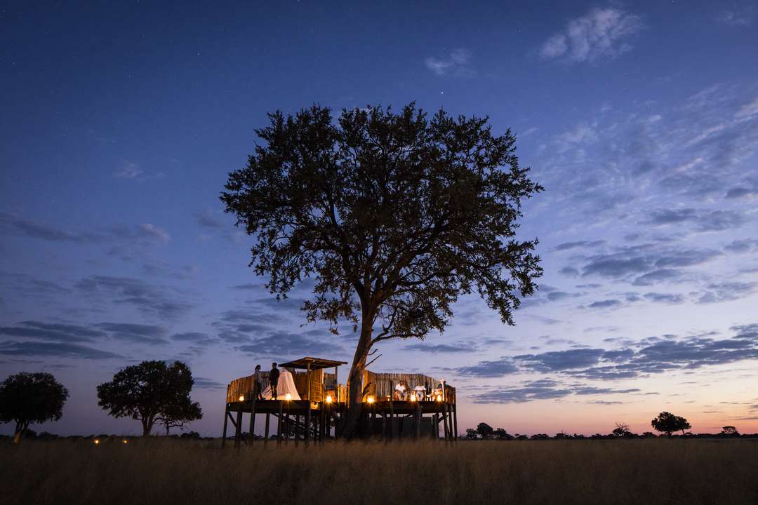 Summer Safari | Summer in Zimbabwe | Wilderness Safaris