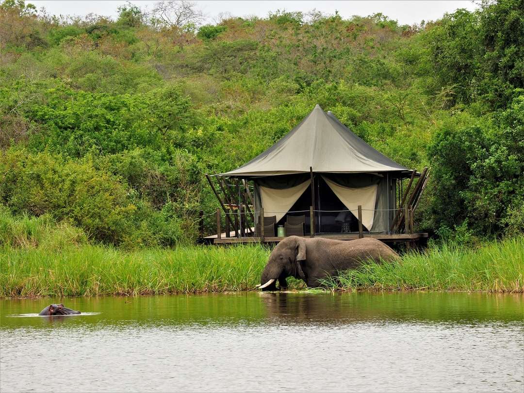 A Hippo and an Elephant enjoying a swim in Lake Rwanyakazinga
