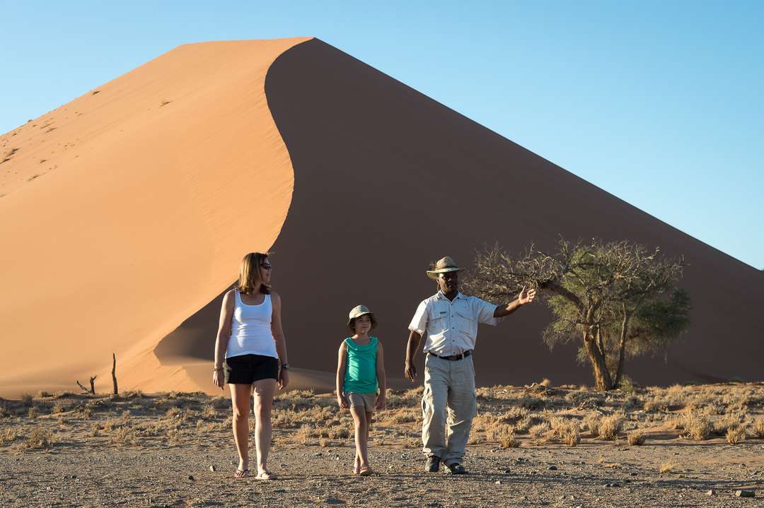 safari namibie famille
