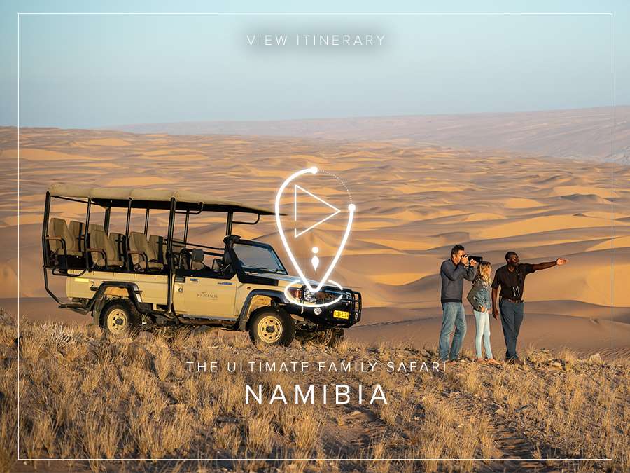 namibia safari mit kind