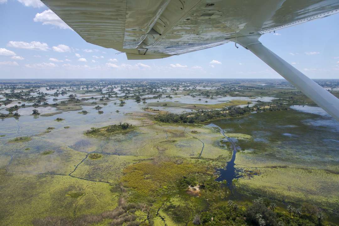 air safari maun