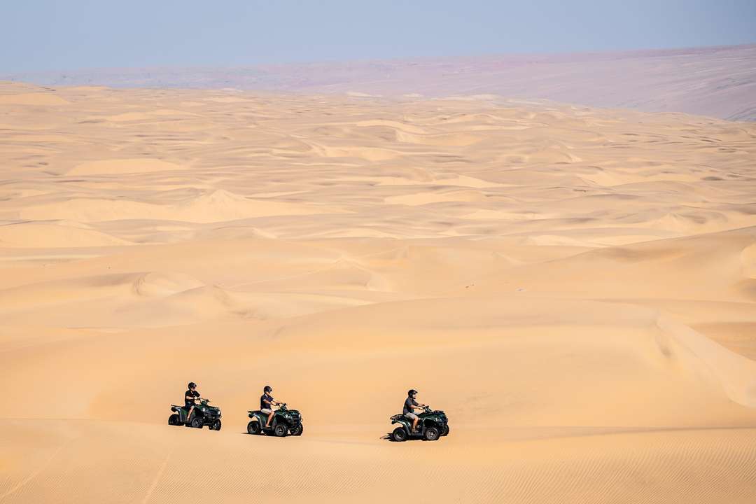 safari namibia kinder