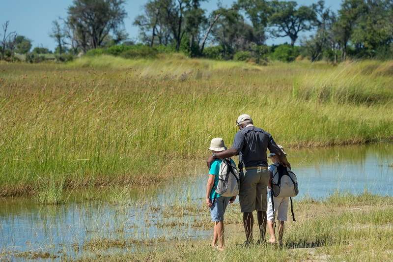 Is A Safari Safe For Children? Wilderness Safaris