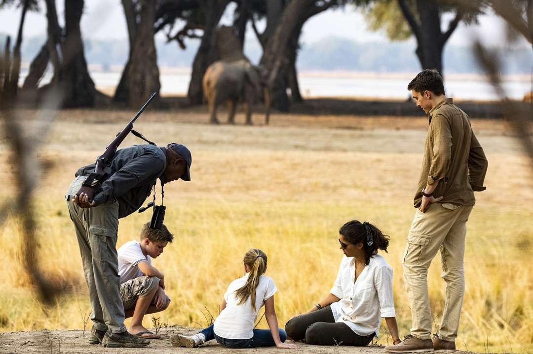 Safari Packing List for Kids: Essential Items