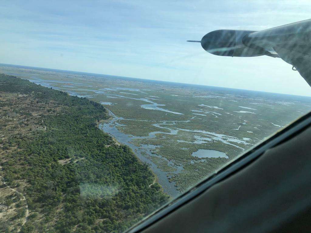 air safari maun