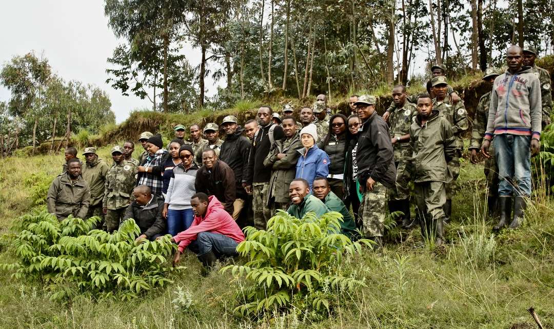 The team at Bisate assisting with the reforestaion project